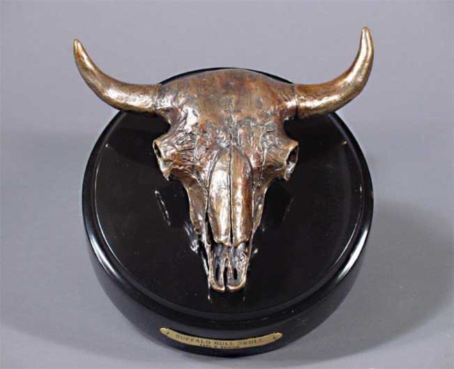 Buffalo Skull