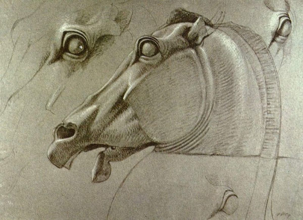 Haydon, Selene's Horse