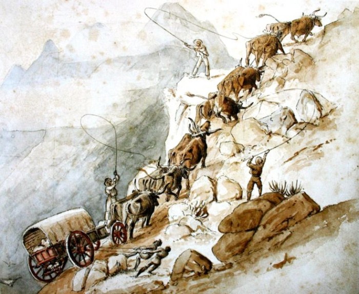 Cradock Pass, Outeniqua 1840