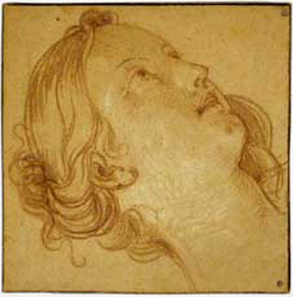 Natoire sketch, Study for The Head of Venus