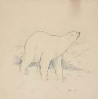 5. Ice Bear. Pencil drawing. Signed. 